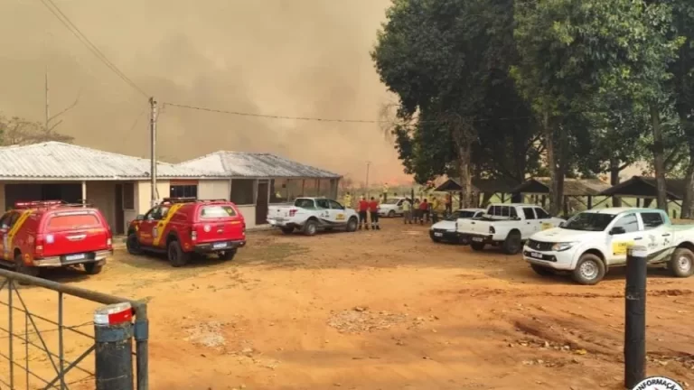 Grande incêndio em vegetação atinge Parque Nacional de Ilha Grande