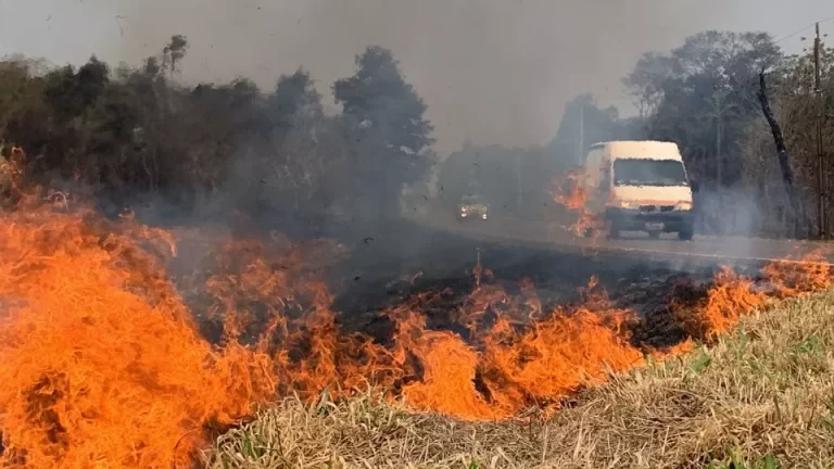 Moradores tentam conter avanço de incêndio na PR 180
