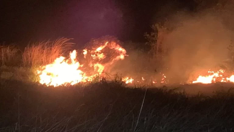 Novo incêndio em vegetação é registrado na BR-369