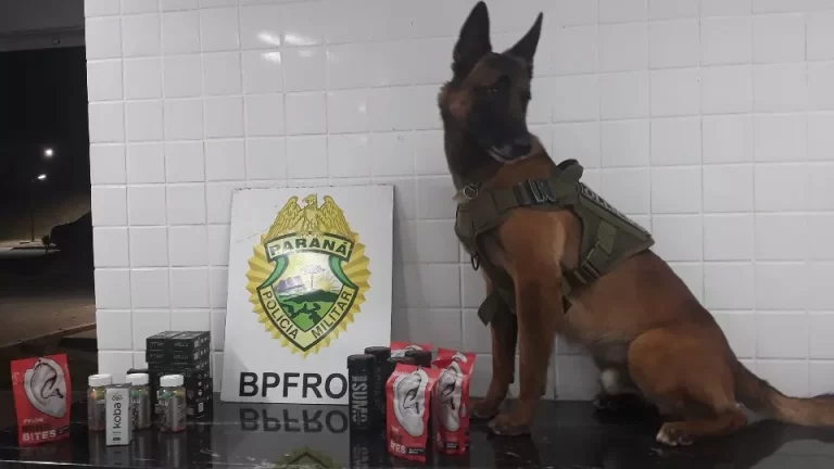 BPFron apreende cigarros eletrônicos e produtos à base de maconha em ônibus na BR-277