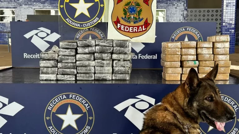 Drogas que estavam sendo lançadas por rapel da Ponte da Amizade são apreendidas