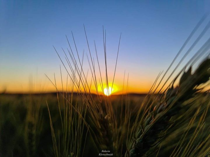 Descobertas inesperadas