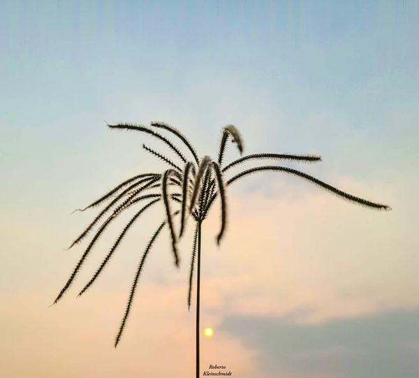 Pare, olhe, surpreenda-se