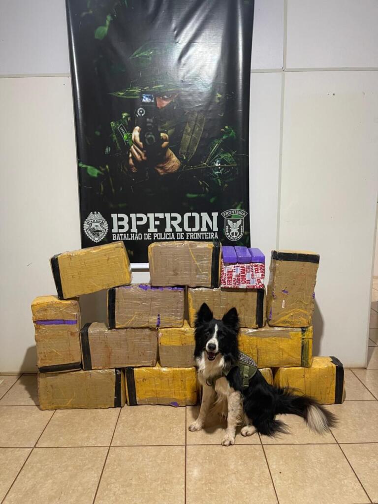 BPFron apreende 208 quilos de maconha no distrito de Bom Jardim