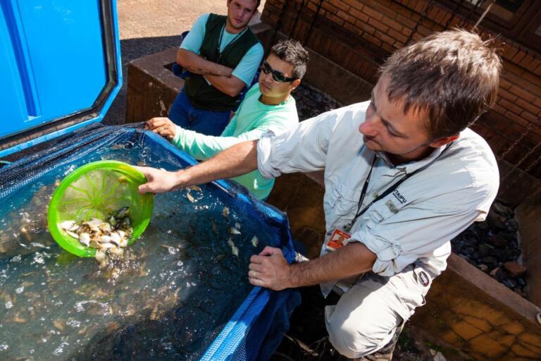 Itaipu leva pesquisas sobre água e pesca ao International Fish Congress 2024