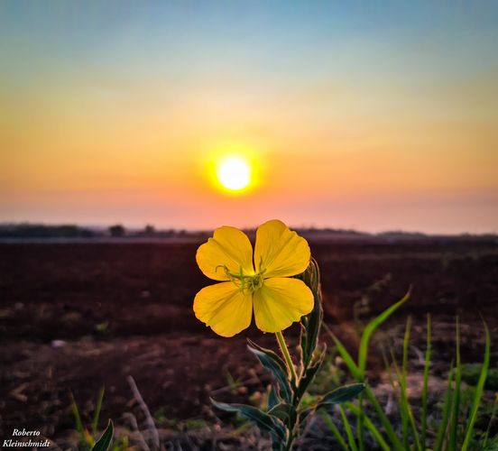 Olhe o mundo como a primeira vez