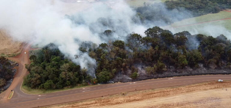 Imagens aéreas: incêndios na PR 180 ameaçam áreas agrícolas