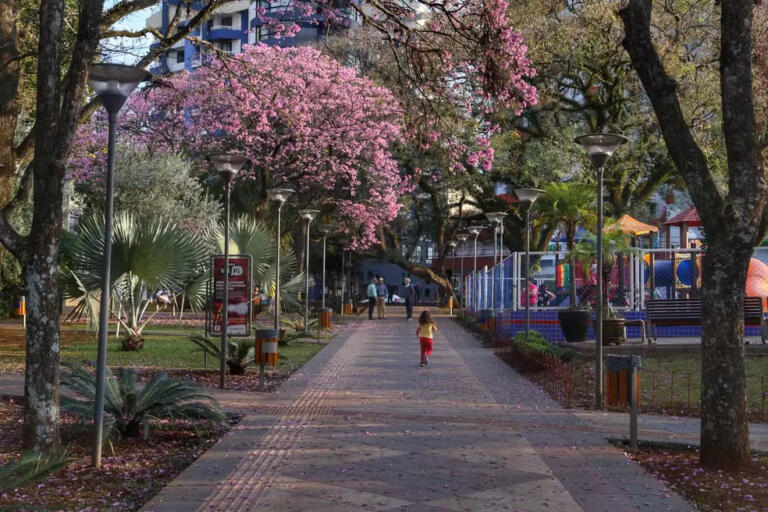 Mudanças de temperatura, tempo seco e pólen: entenda como prevenir as alergias mais comuns da Primavera