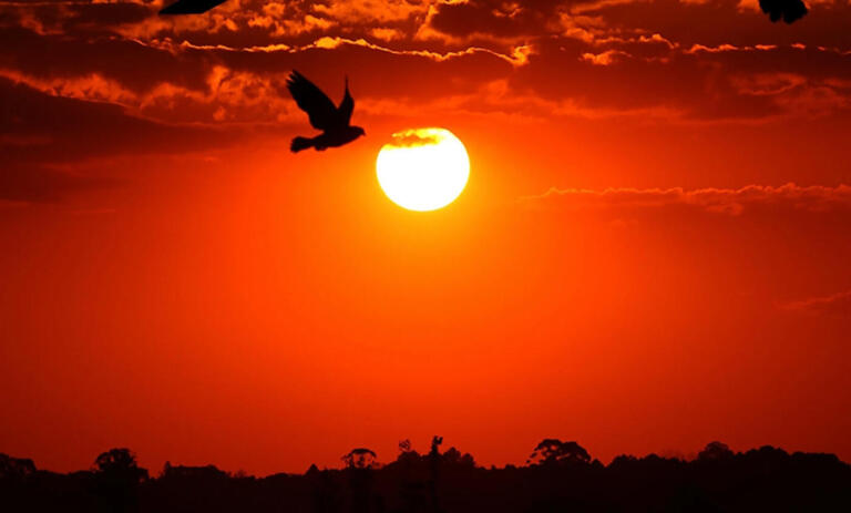Primavera terá calor acima da média no Paraná