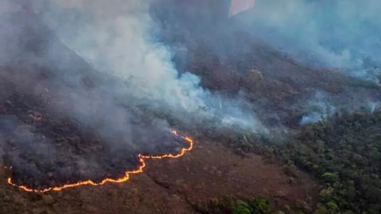 Incêndios causam prejuízo de mais de R$ 14 bilhões no agronegócio
