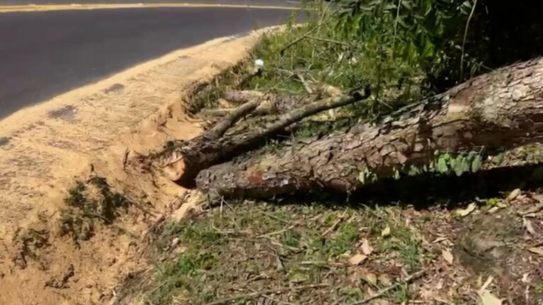 Indígenas obstruem rodovia e roubam carga de caminhão em Nova Laranjeiras