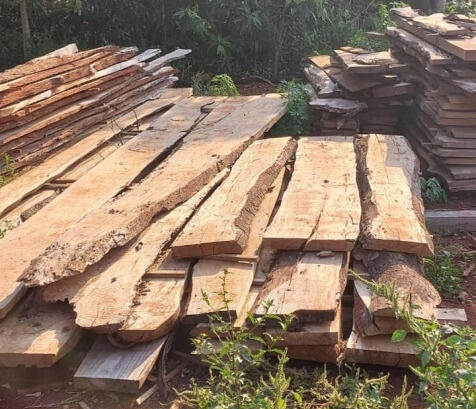 Polícia Ambiental autua serraria sem licença e apreende carne de capivara em Porto Mendes