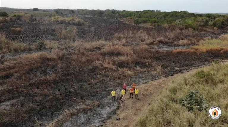 Imagens aéreas mostram destruição causada por incêndios no Parque Nacional de Ilha Grande; veja as fotos