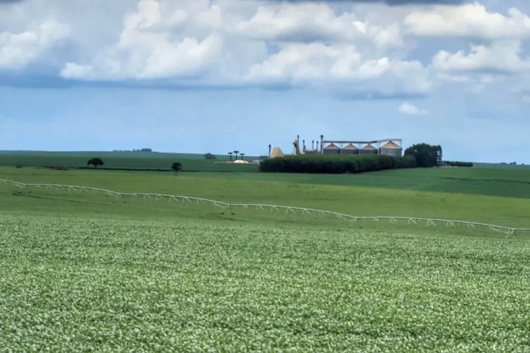 Governo do Paraná e empresa anunciam grande investimento na segunda-feira