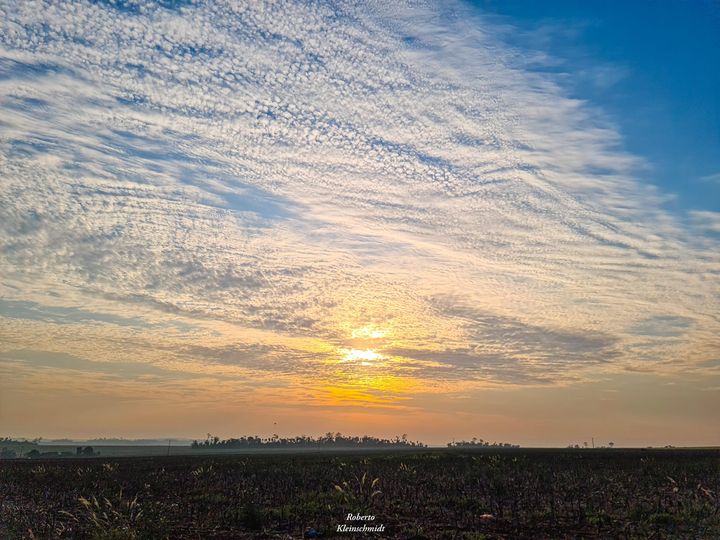 Dias únicos e especiais