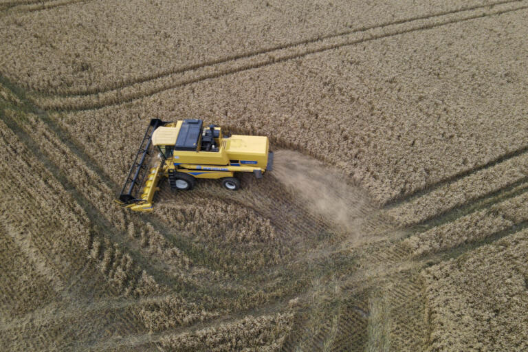 VBP 2024: confira os municípios campeões de 22 culturas do agronegócio paranaense
