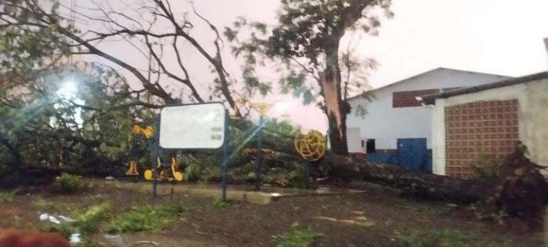 Ventos fortes atingem Palotina e deixam estragos; veja fotos