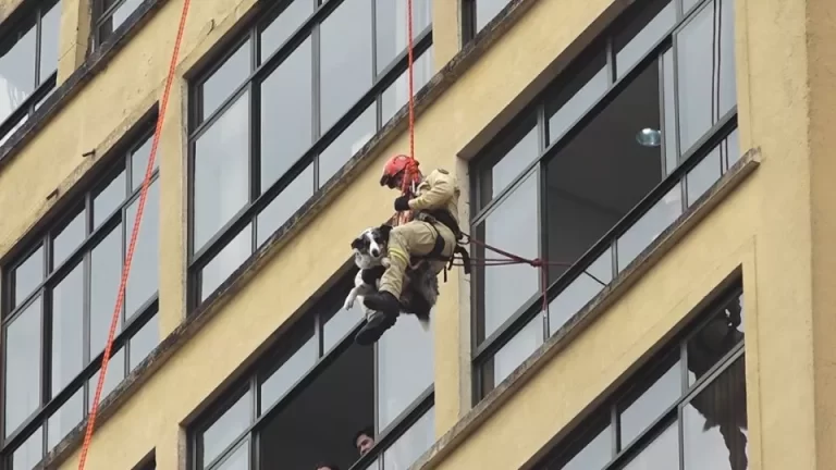 Militares do Gost simulam resgate em altura no Centro de Curitiba