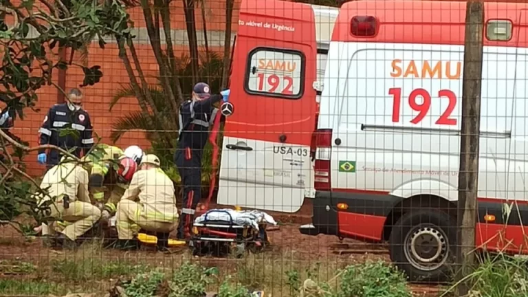 Homem fica em estado grave após ser atacado por cães em Toledo