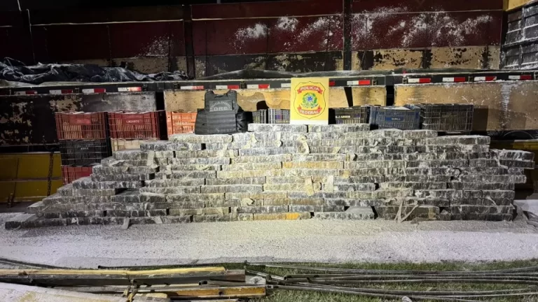 PF prende motorista com mais de 1,7 tonelada de maconha em fundo falso