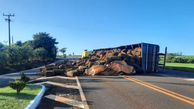 Motorista fica ferido após caminhão tombar na PR-497 em Itaipulândia