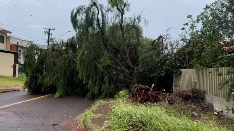 Temporal provoca queda de energia e afeta abastecimento de água em cidades do Oeste