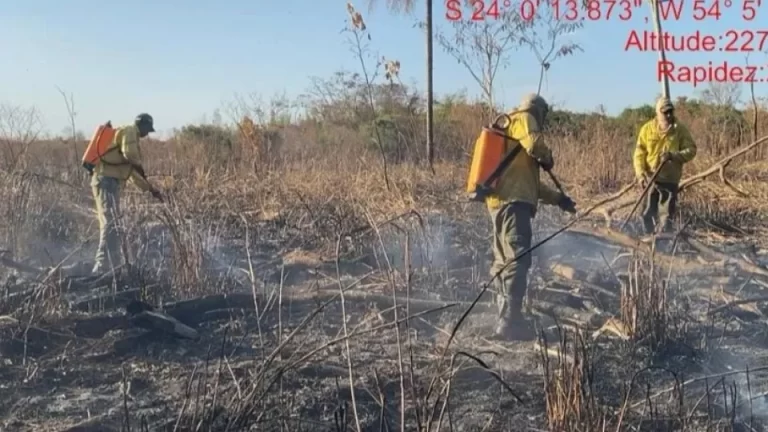 Incêndio no Parque Nacional de Ilha Grande segue sob controle após cinco dias de combate intenso