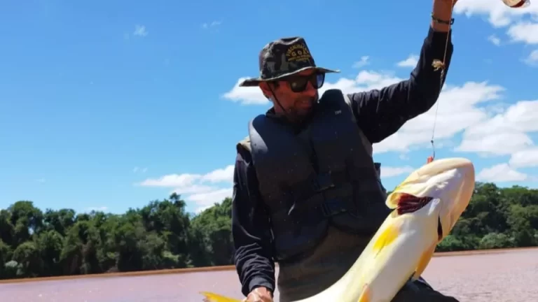 Proibição de pesca predatória na Bacia do Rio Paraná começa na sexta-feira