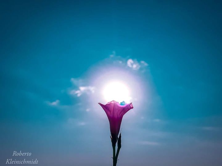 Ilumine por onde passar