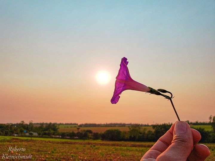 Aprenda a caminhar em passos lentos