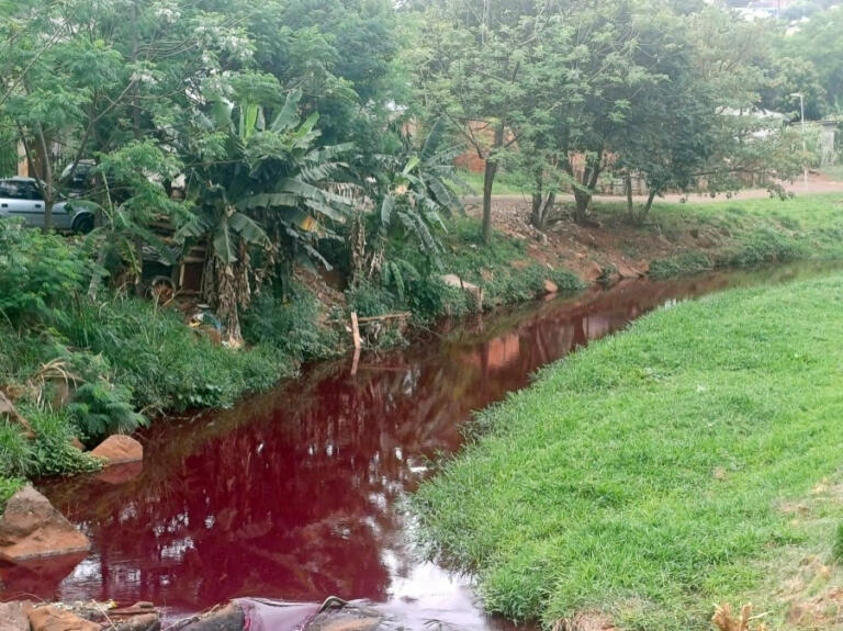 Águas do Rio Toledo amanhece avermelhada e IAT investiga a causa