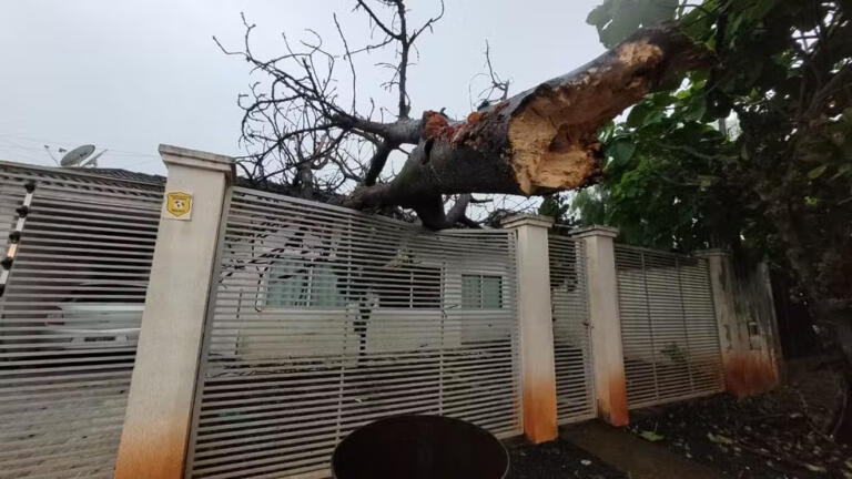 208 mil unidades consumidoras ficaram sem energia após temporais no oeste e sudoeste do Paraná, diz Copel