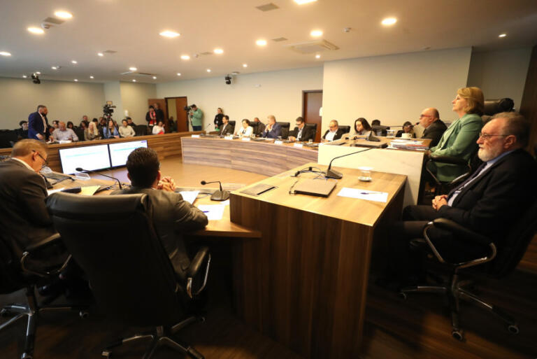 Deputados manifestam preocupação com o combate à dengue durante Audiência Pública com o secretário da saúde