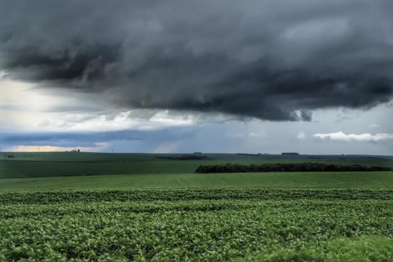 Alerta de tempestade aponta risco de ventos superiores a 100 km/h para 26 municípios do Paraná; veja quais