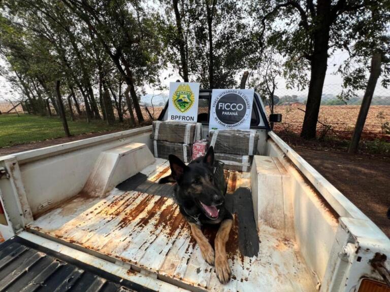 BPFron prende homem com veículo furtado e carregado com maconha em Marechal Rondon
