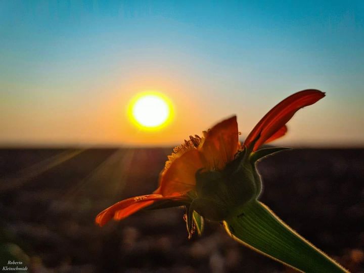 O que esperar do clima na segunda metade de agosto?
