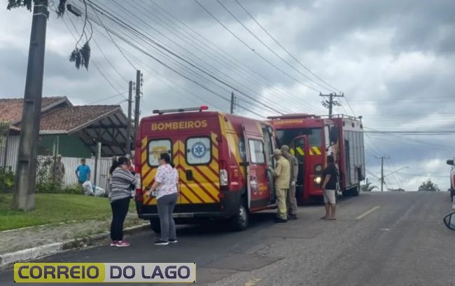 Mãe e filha são hospitalizadas em estado grave após ataque de abelhas no Paraná