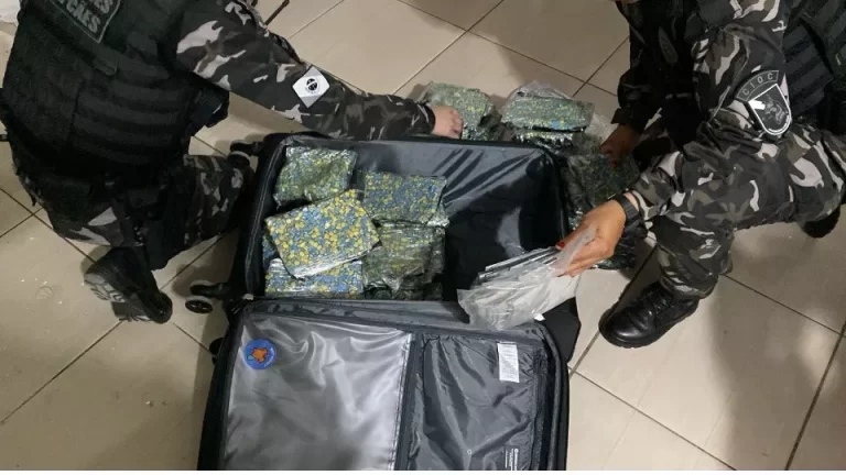 Grupo criminoso de Cascavel é alvo de operação do Gaeco de Santa Catarina