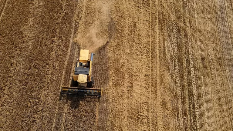 Paraná encerra colheita de cevada, última cultura da safra de inverno