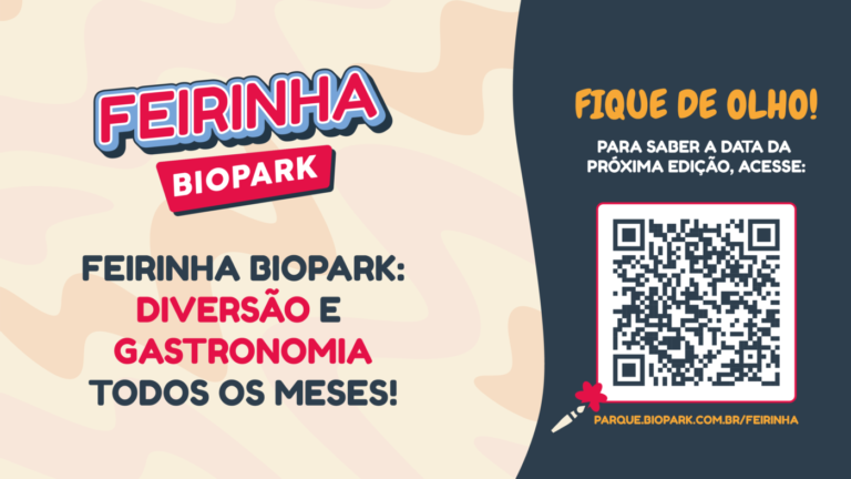 3ª Edição da Feirinha Biopark promete um sábado de arte, cultura e literatura para toda a família