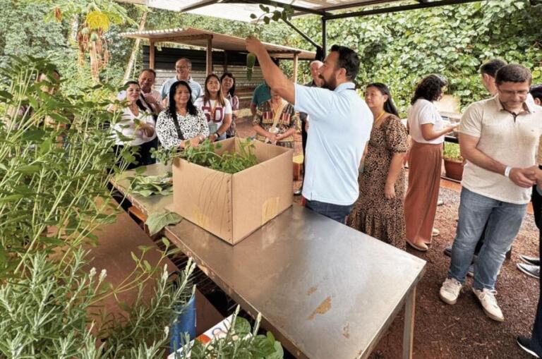 Profissionais de saúde do Brasil conhecem projeto inédito de Plantas Medicinais