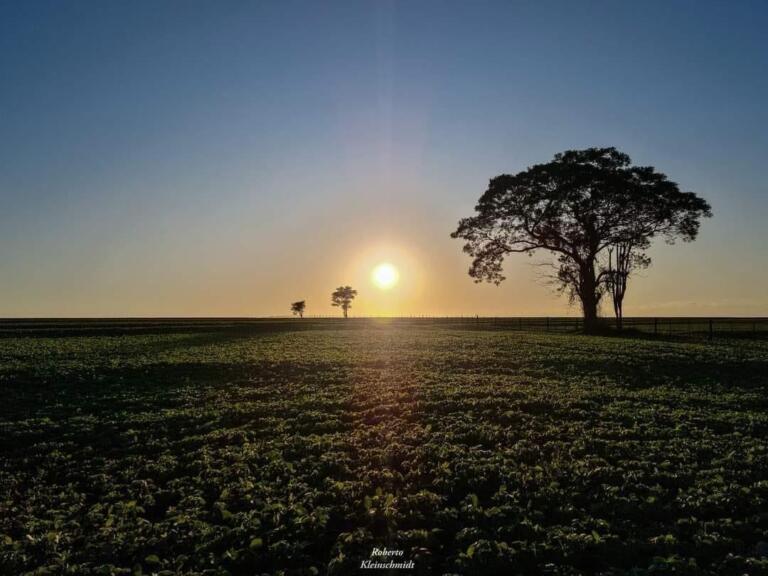 Domingo com chuva ou sol? Confira a previsão do tempo para o Paraná