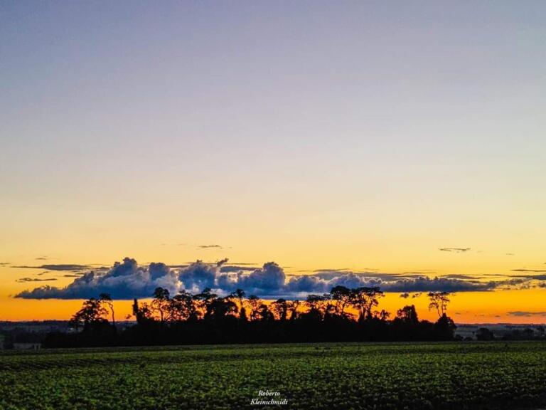 Quem ama a liberdade?
