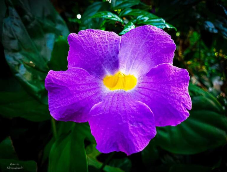 Recomece sempre que for preciso