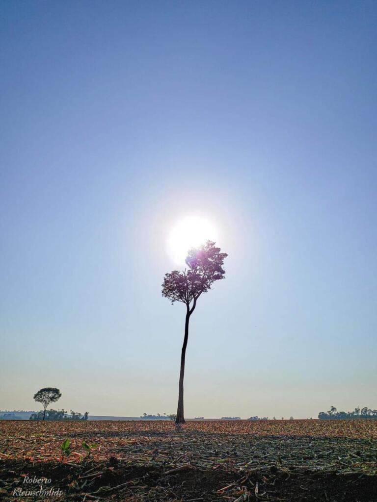 Determinação é tudo