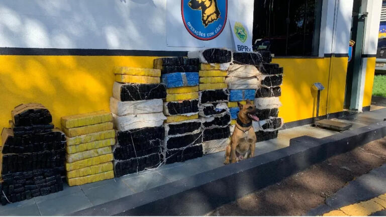 Homem é preso com mais de 800 quilos de maconha na PR 586 em Santa Tereza do Oeste