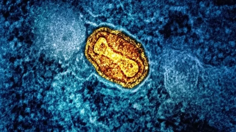 Brasil registra mais de 1,5 mil casos de Mpox em 2024