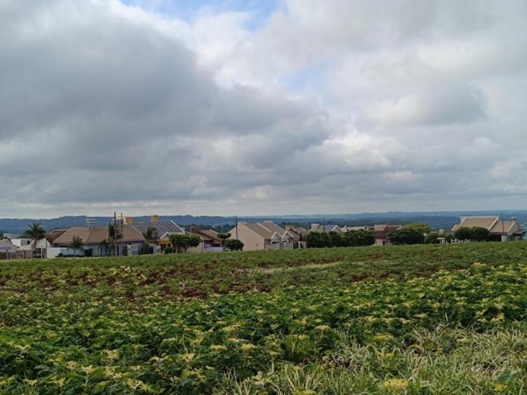 Segunda-feira começa com mais nuvens e amanhecer frio em parte do Paraná