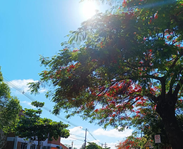 Marechal Rondon e municípios da região terão dias seguidos de altas temperaturas