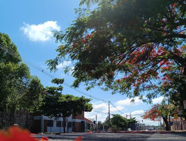 Calor predomina e temperatura máxima deve bater nos 34°C em Marechal Rondon